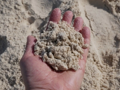 Песок намывной, цена, включая доставку