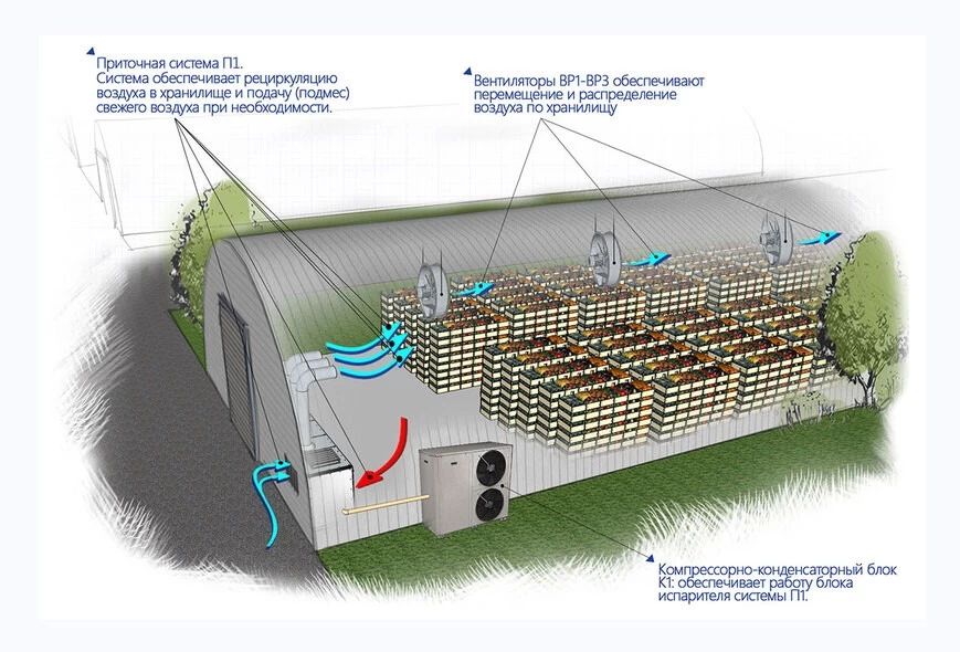 Схема контроля климатом в картофельном хранилище