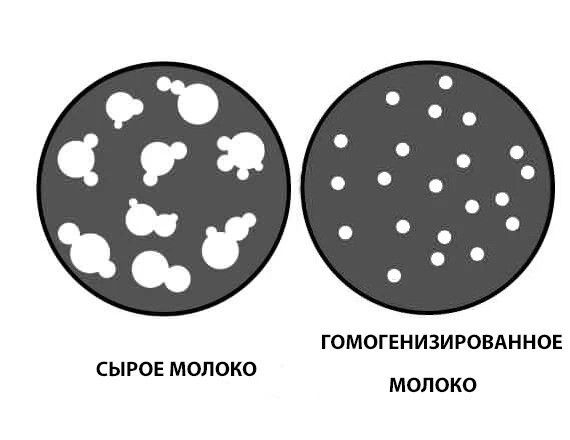 Схема молекул молока